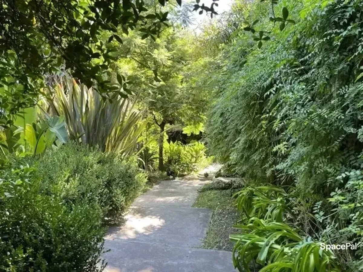 Sendero entre la vegetación del predio