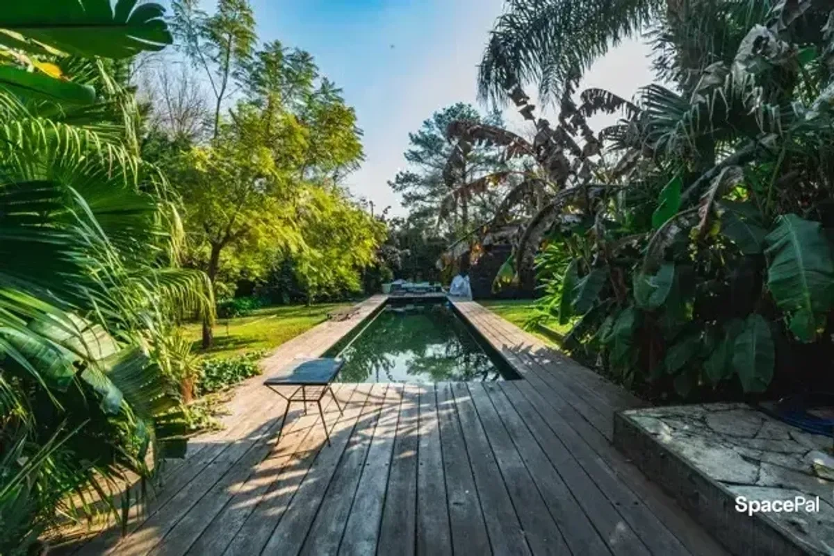 Pileta y deck rodeados de palmeras